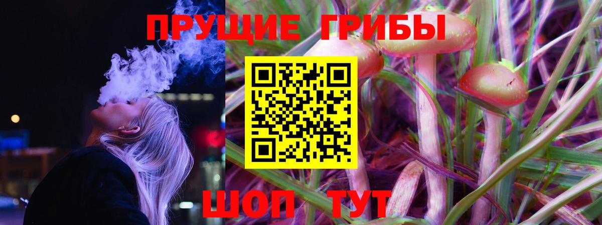 Отрадный  Псилоцибиновые грибы мухоморы  Вход с VPN  Галлюциногенные грибы GOLDEN TEACHER 